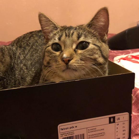 Meet your Posher, Jessica - Picture 1 of 1